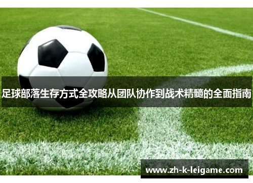 足球部落生存方式全攻略从团队协作到战术精髓的全面指南